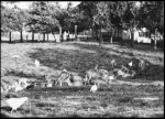 Germantown Farm