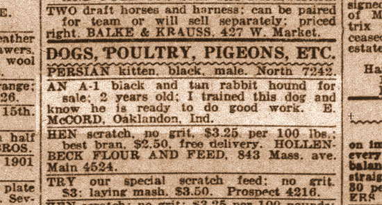 Dogs, Poultry, Pigeons, Etc.